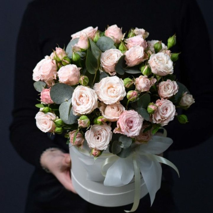 Бомбастик бокс №2 в Старом Осколе