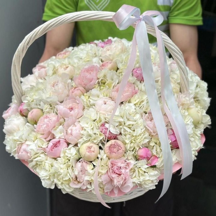 Премиум корзина гортензий и пионов в Старом Осколе
