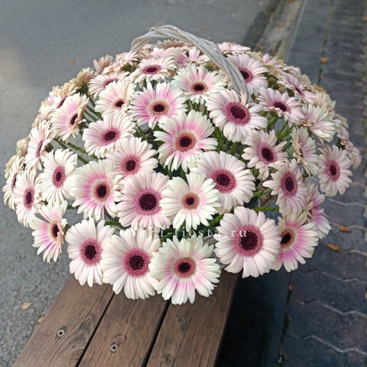 Корзина с герберами  в Старом Осколе