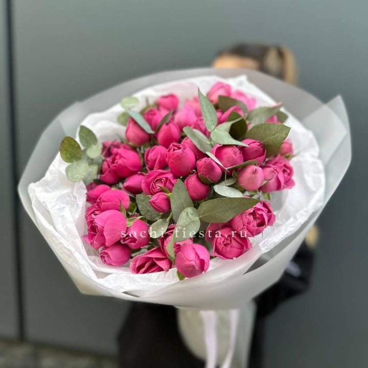 17 Мисти бабблс в Старом Осколе