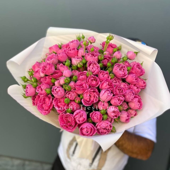 Мисти Баблс 35шт в Старом Осколе