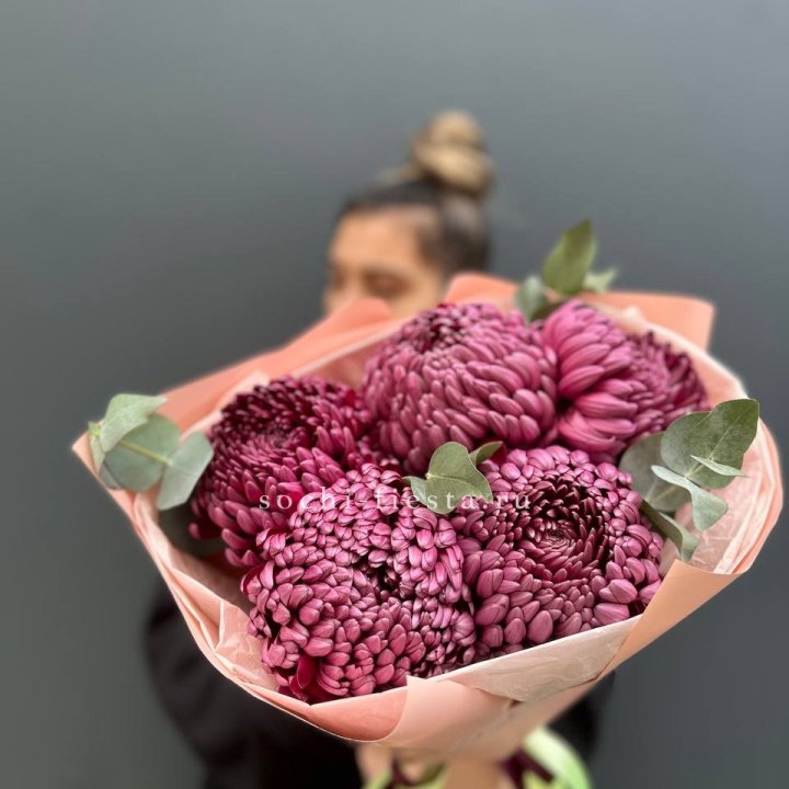 Хризантемы  Бигуди  в Старом Осколе