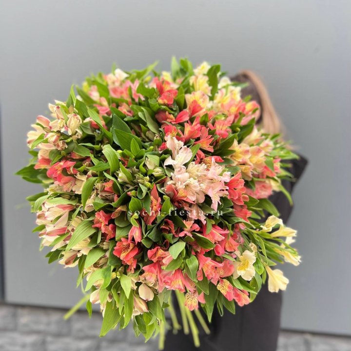 51 альстромерия в Старом Осколе