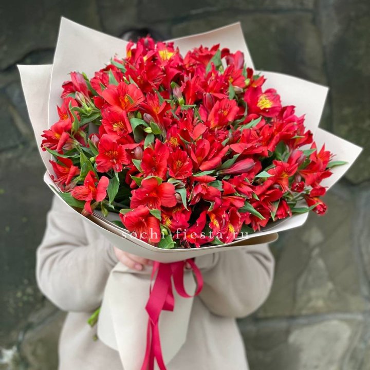 51 альстромерия в Старом Осколе