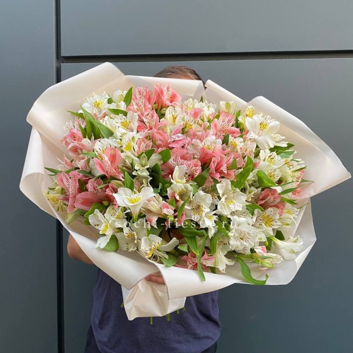 39 альстромерий в Старом Осколе