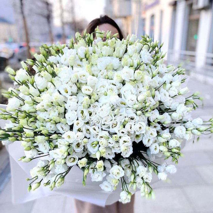 101 белая эустома в Старом Осколе