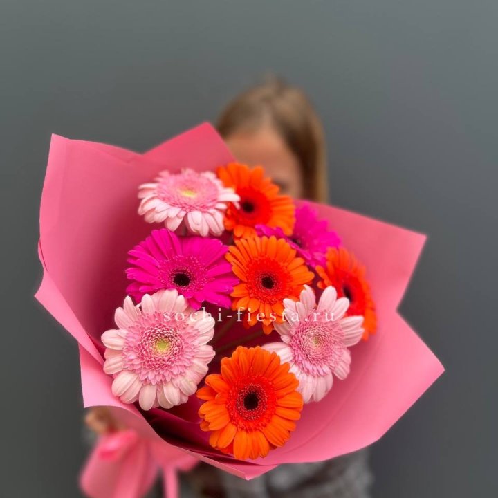 Краски в Старом Осколе