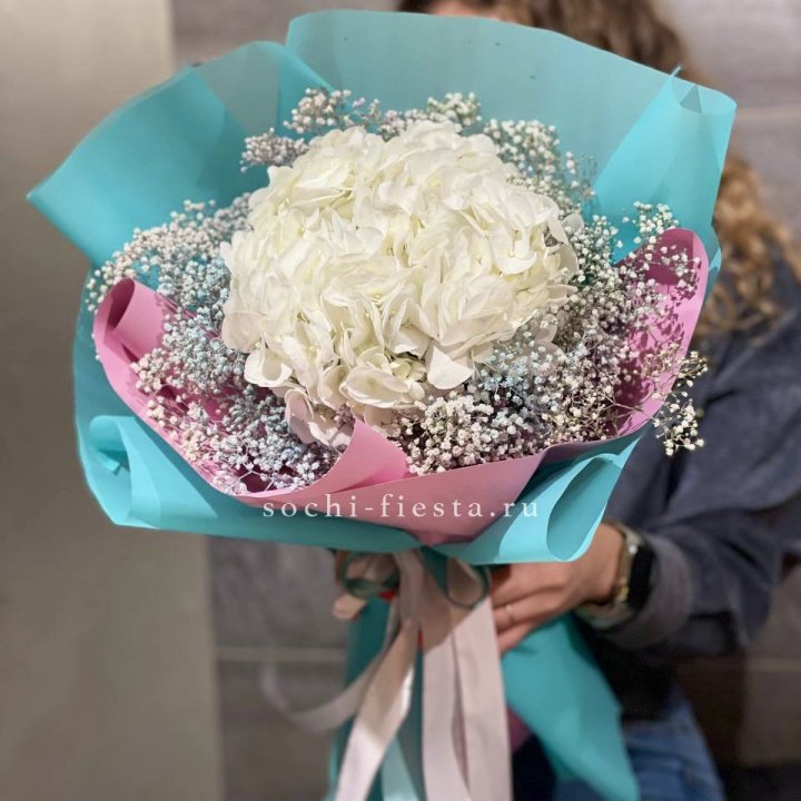 Гортензия "Райдов" в Старом Осколе