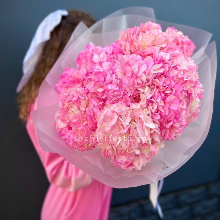 7 ярко розовых гортензий в Старом Осколе