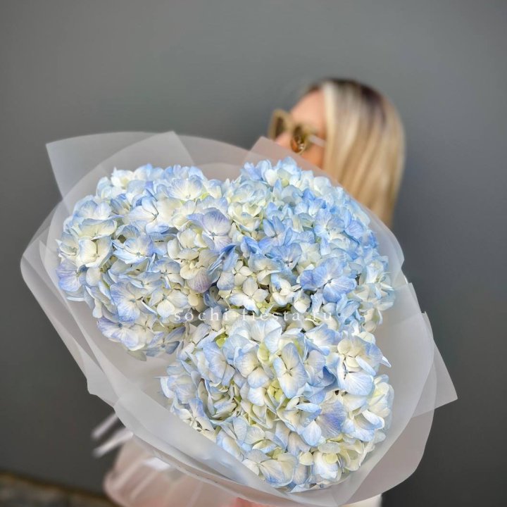 Букет из 3 голубых гортензий  в Старом Осколе