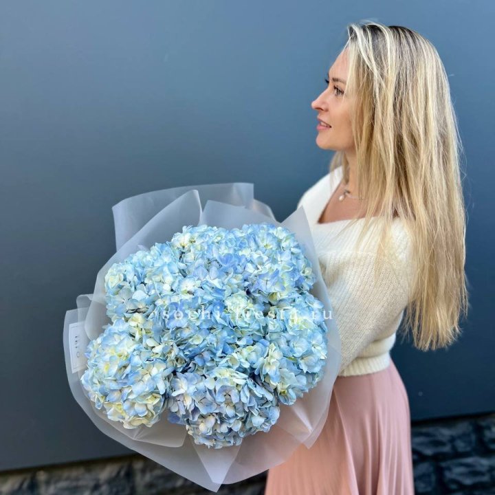 7 голубых гортензий в Старом Осколе