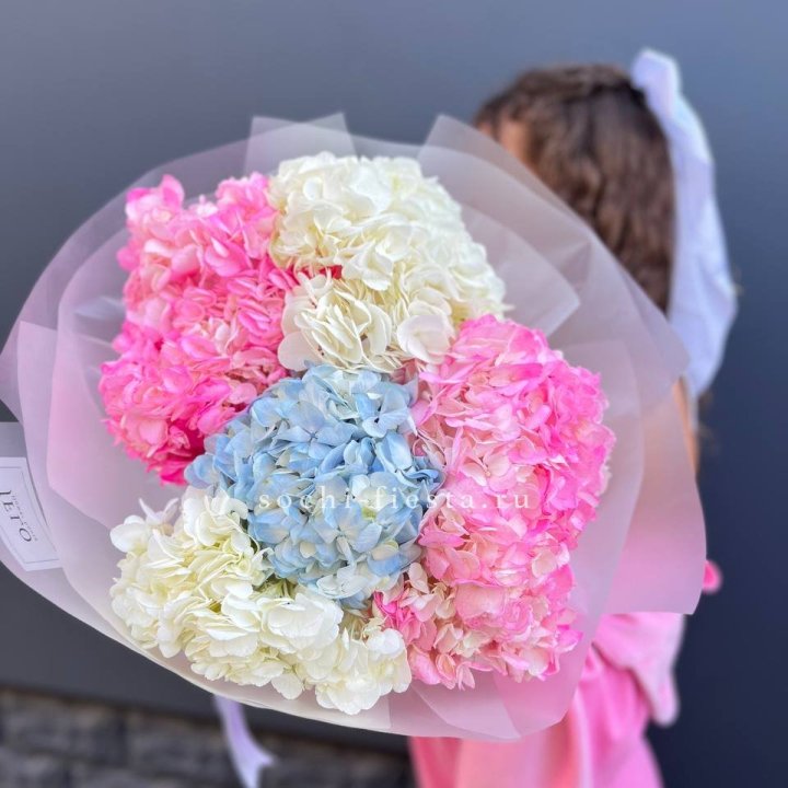 7 гортензий микс в Старом Осколе