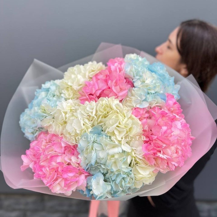 9 гортензий микс в Старом Осколе