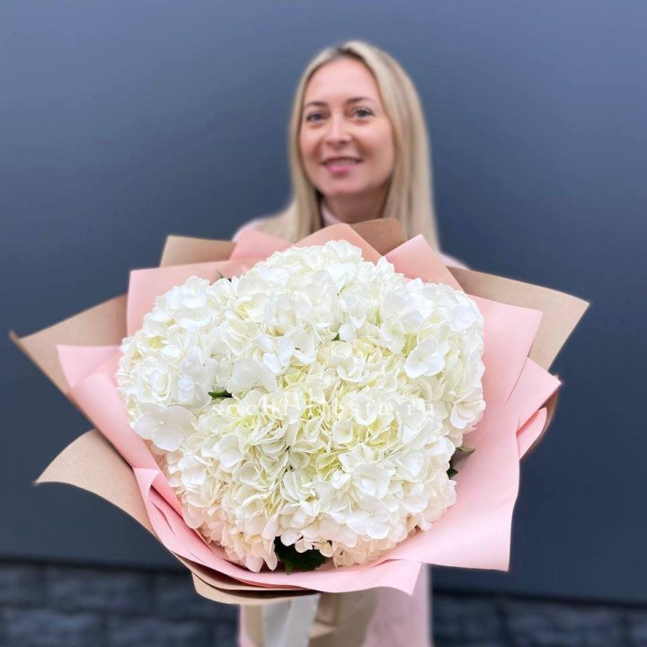 Гортензия белая в Старом Осколе