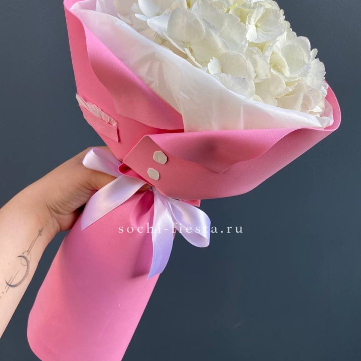 Гортензия в розовом пиджаке в Старом Осколе