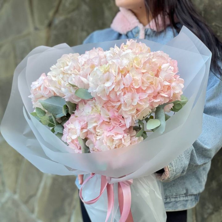 5 розовых гортензий в Старом Осколе