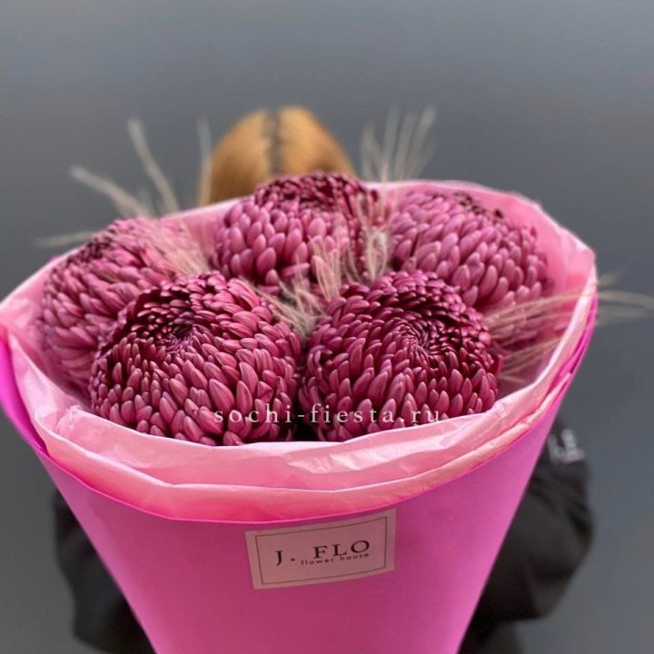 Хризантемы  Бигуди с стифой в Старом Осколе