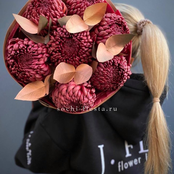 Хризантемы "Голд шоколад" в Старом Осколе