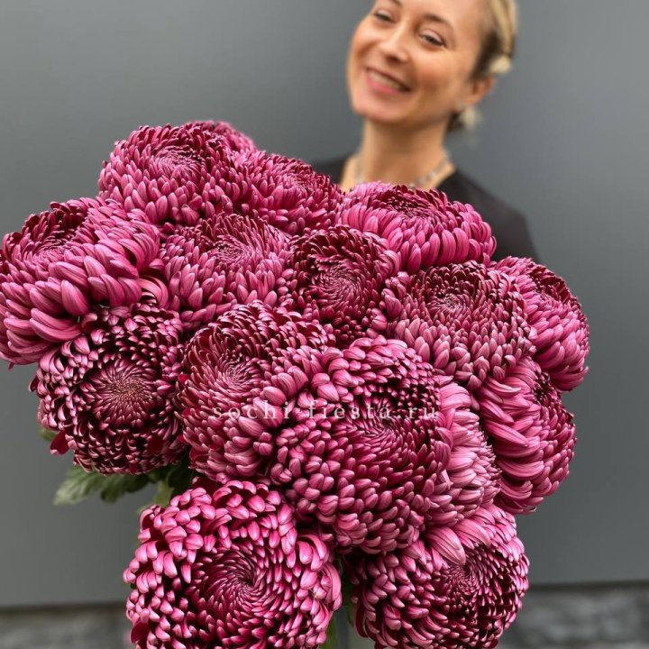 Охапка хризантем Бигуди в Старом Осколе