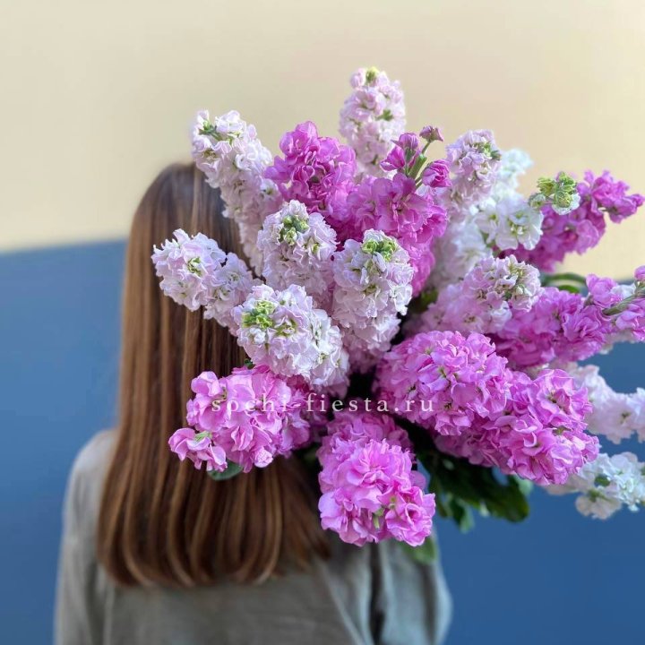 Охапка маттиолы в Старом Осколе