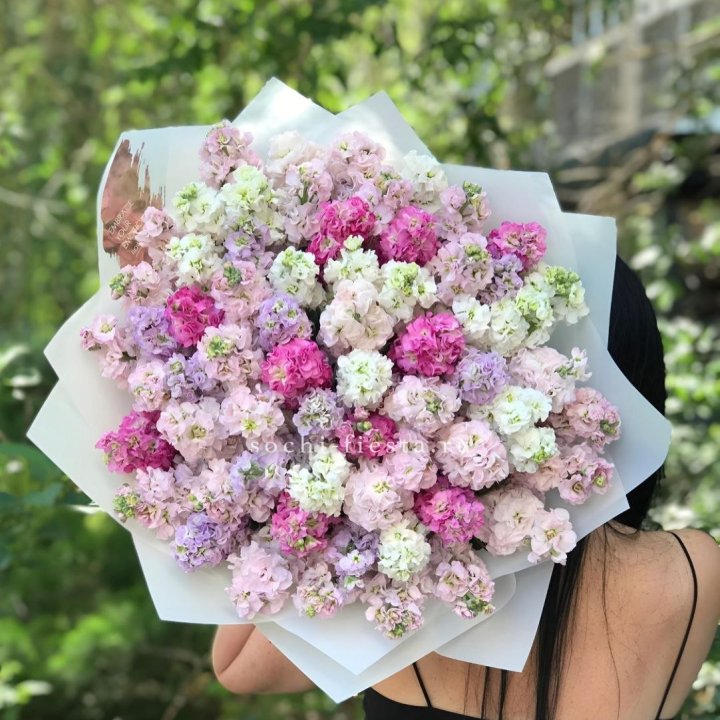 Букет ароматной маттиоллы №3 в Старом Осколе