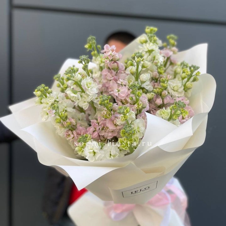 29 маттиол  в Старом Осколе