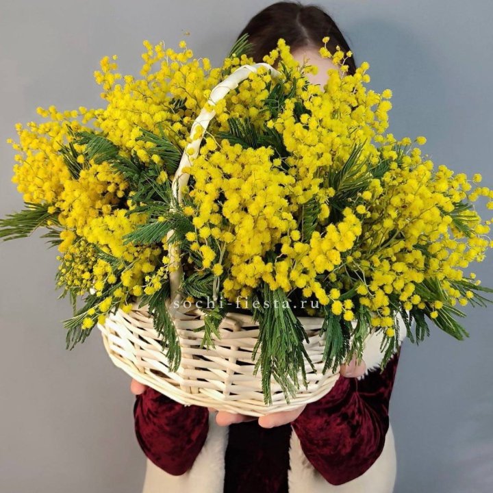 Корзина ароматной мимозы в Старом Осколе
