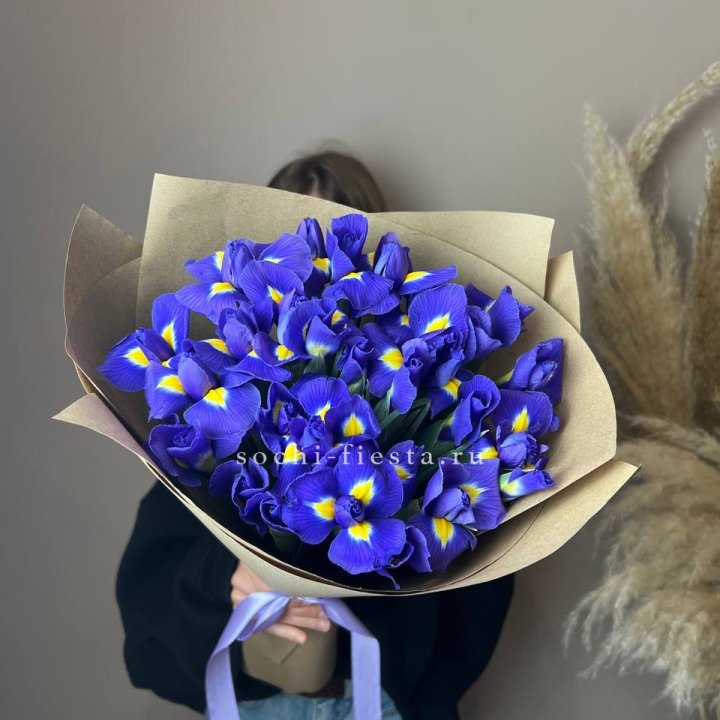 Ирисы в Старом Осколе