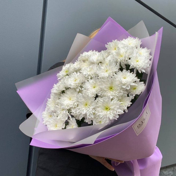  7 хризантем  в Старом Осколе