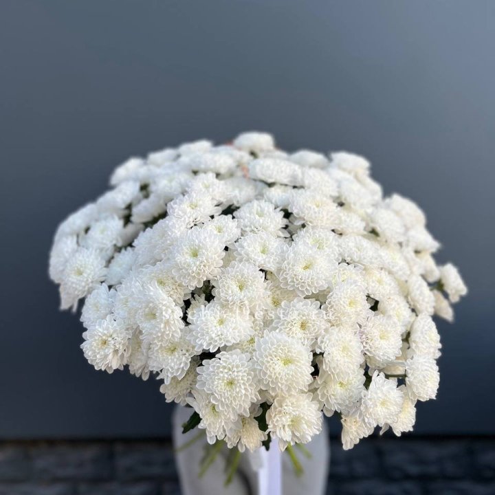  25 хризантем белых в Старом Осколе