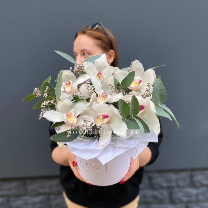 7 орхидей в боксе в Старом Осколе