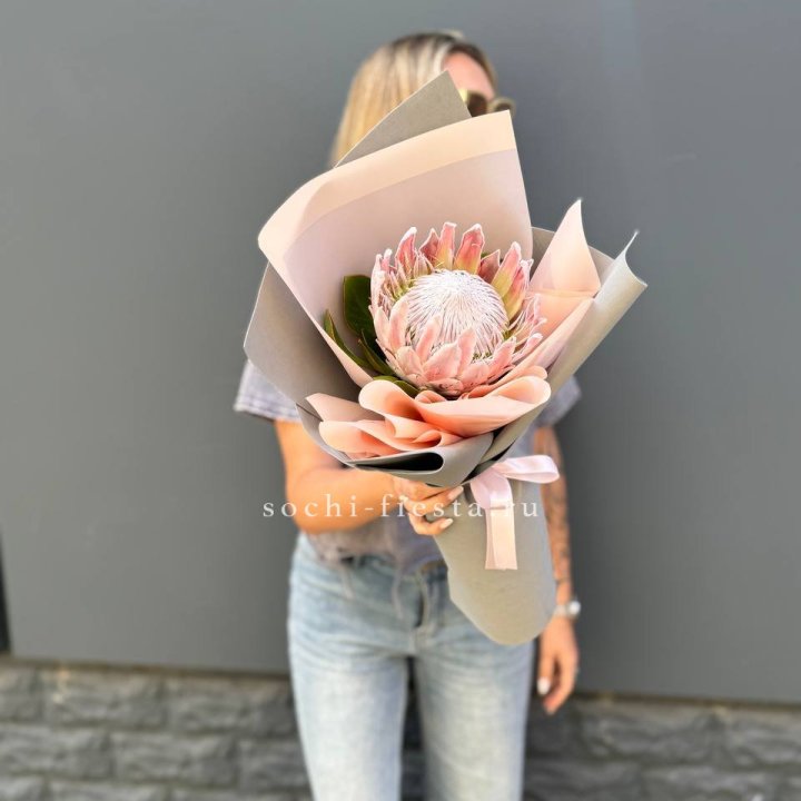 Протея мини  в Старом Осколе