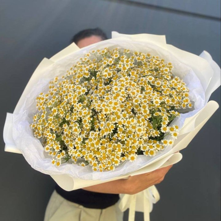 Букет ромашек №2 в Старом Осколе