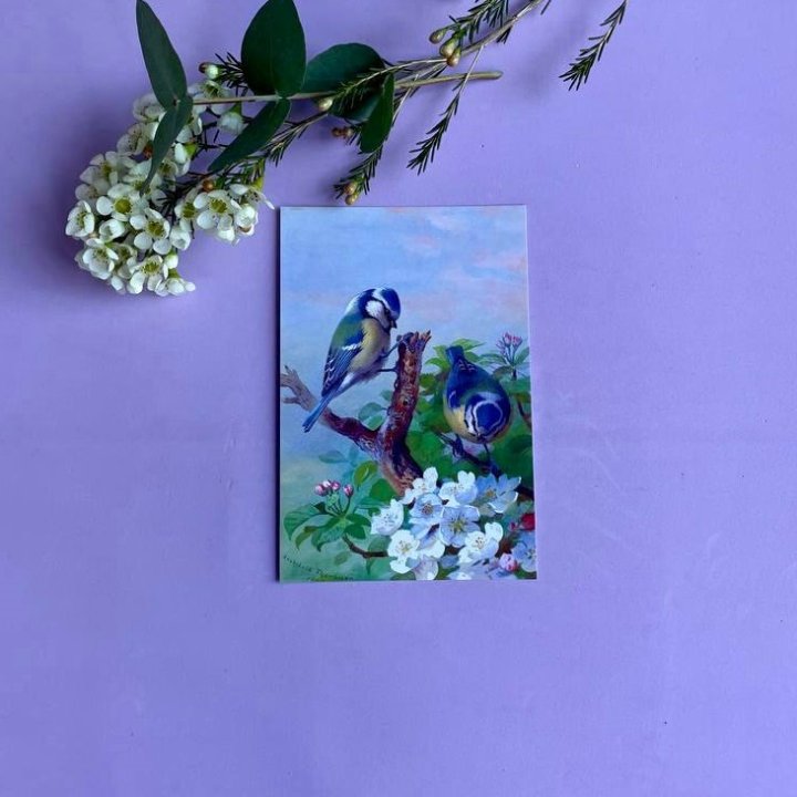 Открытка к букету "Птицы" в Старом Осколе