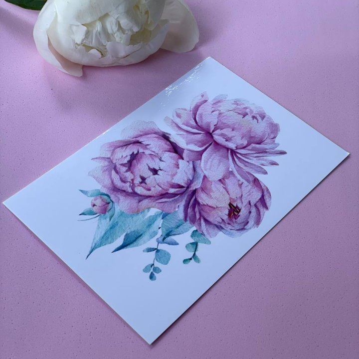 Открытка к букету "Пионы" в Старом Осколе