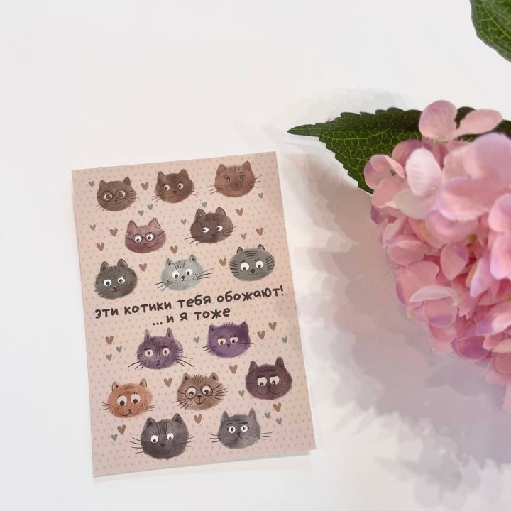 Открытка к букету "Котики" в Старом Осколе