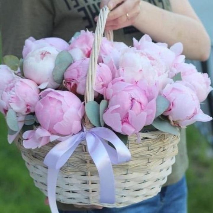 15 пионов в корзине в Старом Осколе