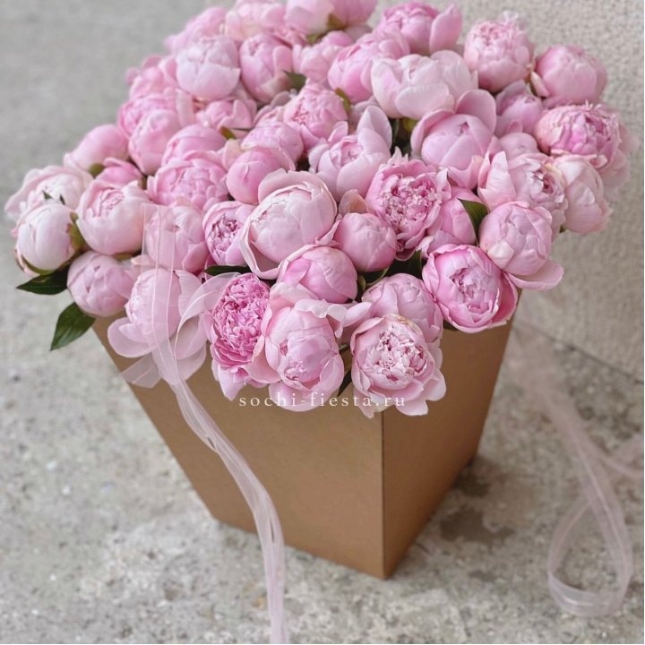 49 пионов в крафт коробке в Старом Осколе