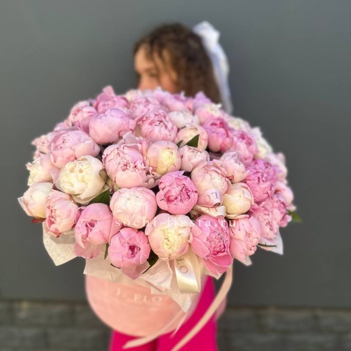 51 нежных пионов  в цилиндре в Старом Осколе