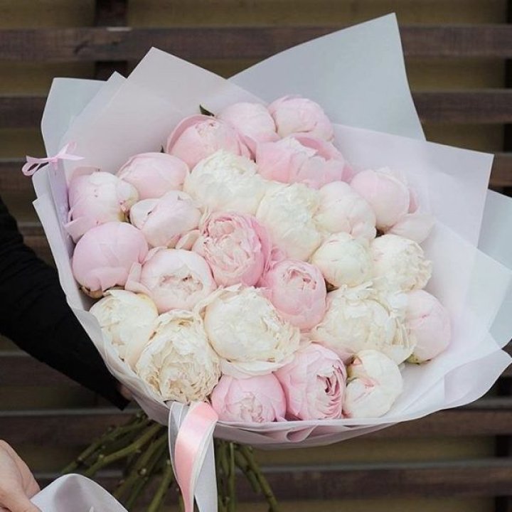 29 пионов в Старом Осколе