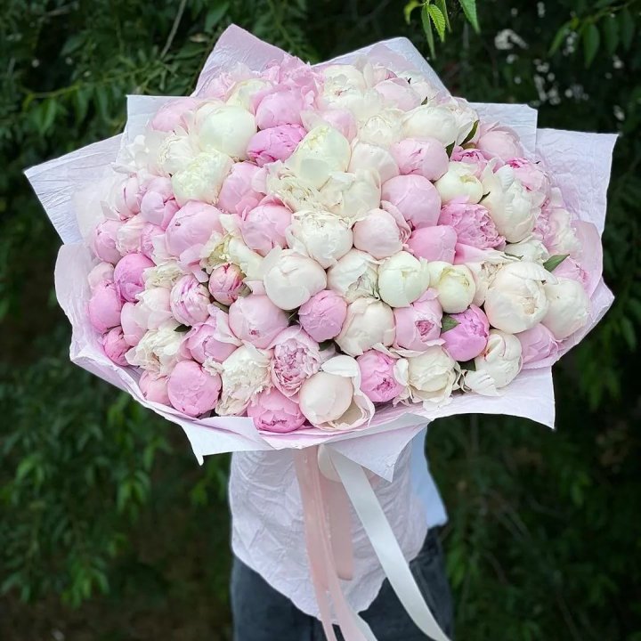 101 пион в Старом Осколе