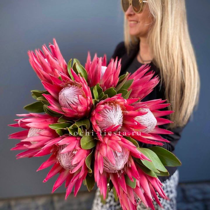 Протея штучно в Старом Осколе