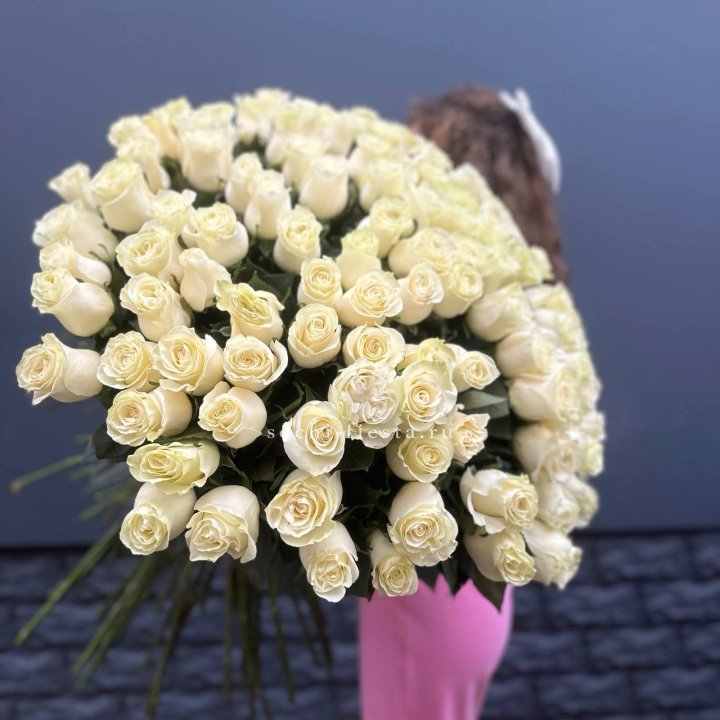 101 белая высокая импортная роза под ленту в Старом Осколе