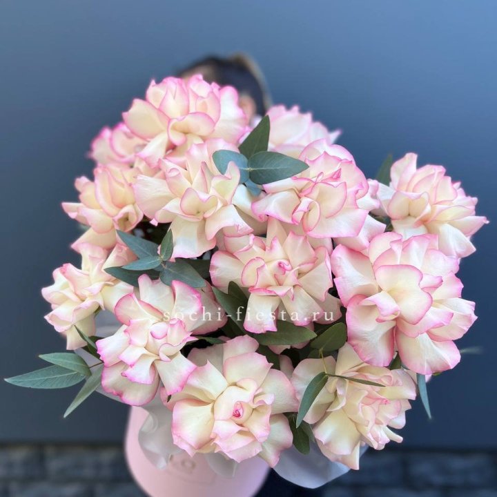 15 Французских роз Джумилия в боксе в Старом Осколе