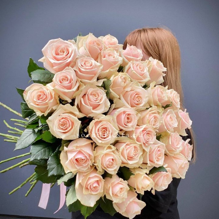 35 кремовых высоких роз в Старом Осколе