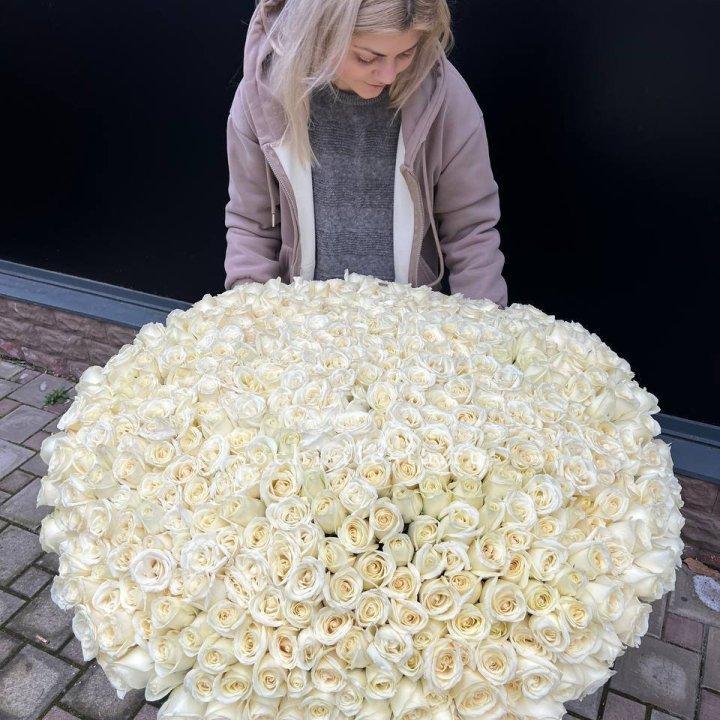 501 белая роза в корзине в Старом Осколе