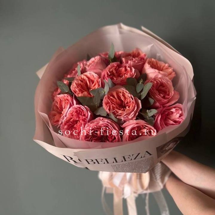 15 Пинк экспрешен в Старом Осколе