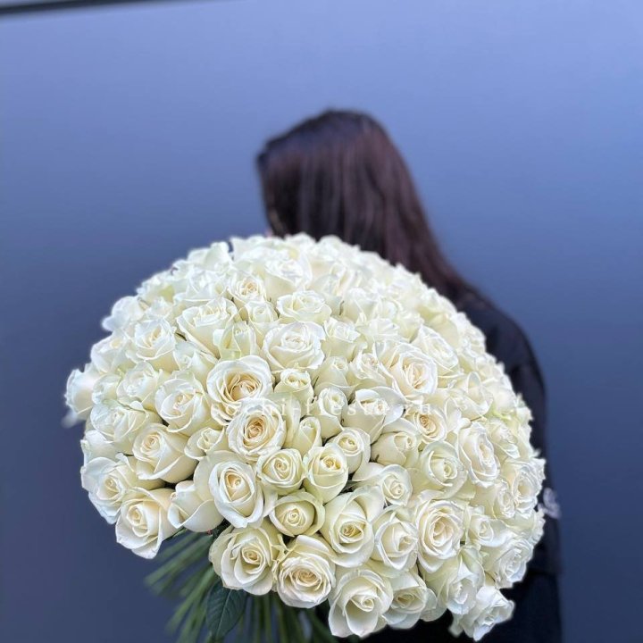 Охапка из 101 белой розы  в Старом Осколе