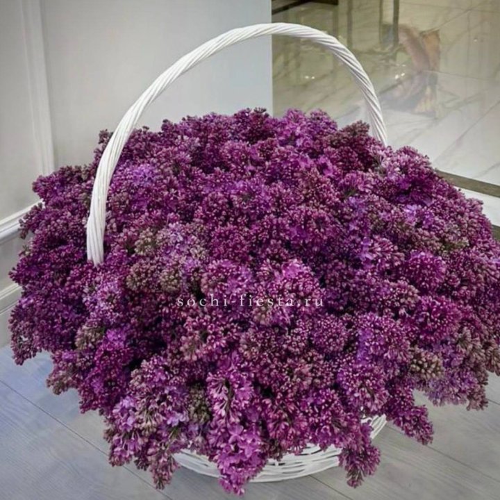 Корзина сирени в Старом Осколе