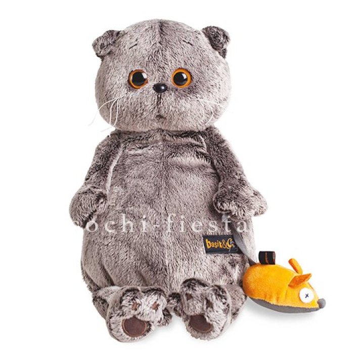 Кот Басик с мышкой в Старом Осколе